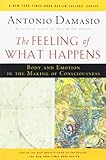 The Feeling of What Happens: Body and Emotion in the Making of Consciousness