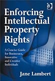 Enforcing intellectual property rights : a concise guide for businesses, innovative and creative individuals