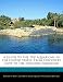 A Guide to the Top Aquariums in the United States: From Discovery Cove to the National Aquarium A Guide to the Top Aquariums in the United States: From Discovery Cove to the National Aquarium