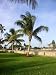 Palm Trees at South Beach - 24H x 18W - Peel and Stick Wall Decal by Wallmonkeys