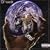 D12 World
