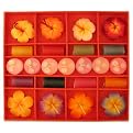 Floral Scented Candles - Set of 23