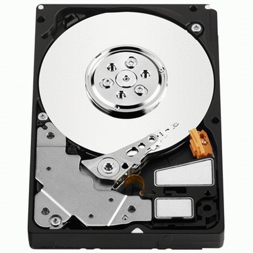 Western Digital VelociRaptor 300 GB 2.5-Inch, 16 MB Cache, 10,000 RPM SATA II Bulk/OEM Hard Drive WD3000BLFS