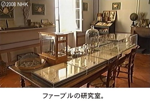 Cover image : ファーブル昆虫記 南仏・愛しき小宇宙 DVD-BOX