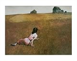 Christina's World by Andrew Wyeth,36 in. x 28.8 in.