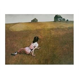 Christina's World by Andrew Wyeth poster print,36 in. x 28.8 in.