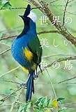 世界の美しい色の鳥