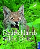 Deutschlands wilde Tiere: Wo Adler, Luchs und Biber leben - Ekkehard Ophoven