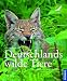 Deutschlands wilde Tiere: Wo Adler, Luchs und Biber leben