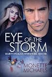 Eye of the Storm (Security Specialists International)