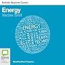 Energy: Bolinda Beginner Guides