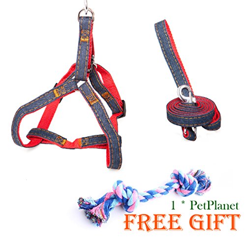 Dog Leash Harness,ERZA SCARLET Adjustable and Heavy Duty Denim Dog Leash Collar for Training & Everyday Walking,Leash Collar for Small and Large Dog(small,11.8-17.7inch)