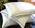 Silk filled Pillow Silk Charmeuse Cover