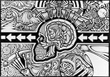 The Conscious Existence 24x36 Poster Print Collections Poster Print, 36x24 College Poster Print, 36x24 The Conscious Existence 24x36 Poster Print Collections Poster Print, 36x24 College Poster Print, 36x24