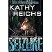 Seizure: A Virals Novel