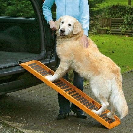 Karlie HUNDERAMPE / HUNDELEITER / HUNDETREPPE