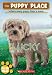 Lucky (The Puppy Place)