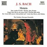 J.S. Bach: Motets