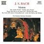 J.S. Bach: Motets