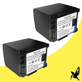 Two Halcyon 2200 mAH Lithium Ion Replacement Battery for Canon VIXIA HFS100 Flash Memory 8.59 MP HD Digital Camcorder and Canon BP-819