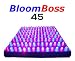 BloomBoss 45 LED Grow Light