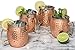 Xummit Stunning Hammered Moscow Mule Copper Mug / Cup with Golden-Hued Handle 18 Oz (Set of 2)