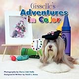 Gisselle's Adventures in Color-