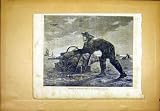 Crayfish Fishing Sea Fisherman French Print 1865