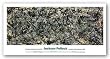 Lucifer by Jackson Pollock 14.75"x37.25" Art Print Poster