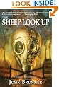 The Sheep Look Up