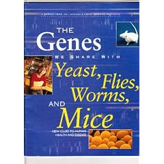 Genes We Share With Yeast, Flies, Worms and Mice: New Clues to Human Health and Disease