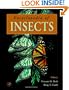Encyclopedia of Insects