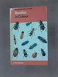 Beetles in colour