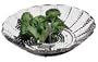 Amco Collapsible Steamer, Stainless Steel