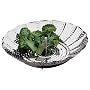 Amco Collapsible Steamer, Stainless Steel