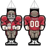 Tampa Bay Buccaneers Official Logo Player Windsock