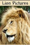 Lion Pictures