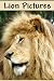 Lion Pictures
