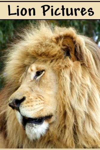 Lion Pictures