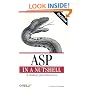 ASP in a Nutshell: A Desktop Quick Reference