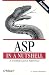  : ASP in a Nutshell, 2nd Edition