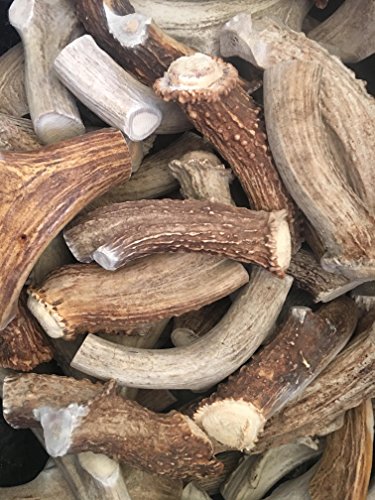 BY THE POUND- JUMBO - THICK- Premium Deer Antler Dog Chews - All Natural- WhiteTail Naturals Brand-