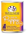 Wellness Super5Mix, Just for Puppy Dog Food (Pack of 12, 12.5-Ounce Cans)