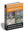 Common Birds of North America - Illustrated Guide to 50 Most Common North American Birds!