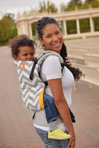 Gray Zig Zag - Tula Toddler Carrier
