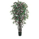 6 &acute; Bougainvillea Silk Tree - B001DQH56W
