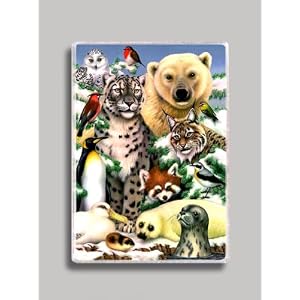 Arctic Animals Refrigerator Magnett by Decoration Sensation