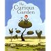 The Curious Garden