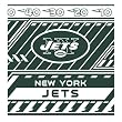 New York Jets NFL Book Cover