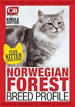 Norwegian Forest (Your Cat Magazine Breed Profiles)